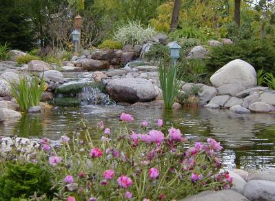 Summer Ponds and Waterfalls