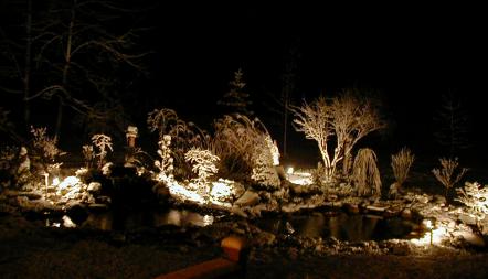 Night Time in the Winter Garden