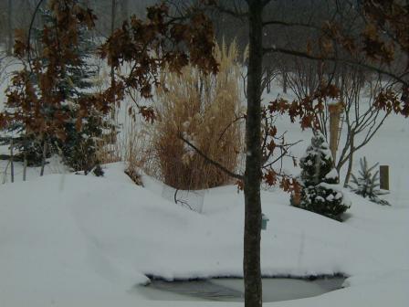 Pond covered with snow and ice!