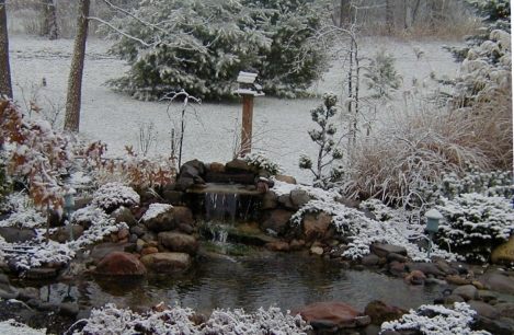 Winter Garden after a Snow Fall