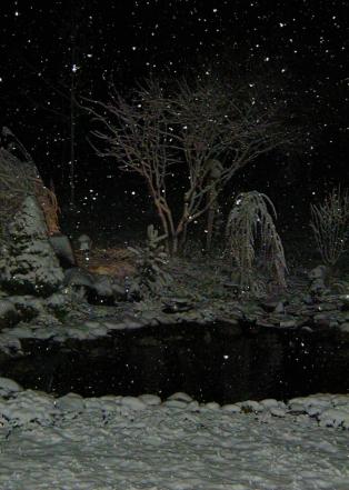 Winter Garden during a Snow Fall